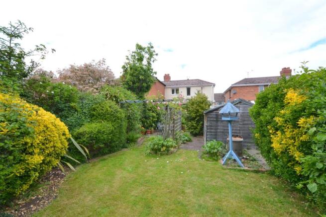 garden3.jpg