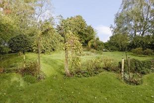 Garden Photo 2