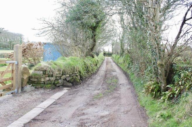 Lane 