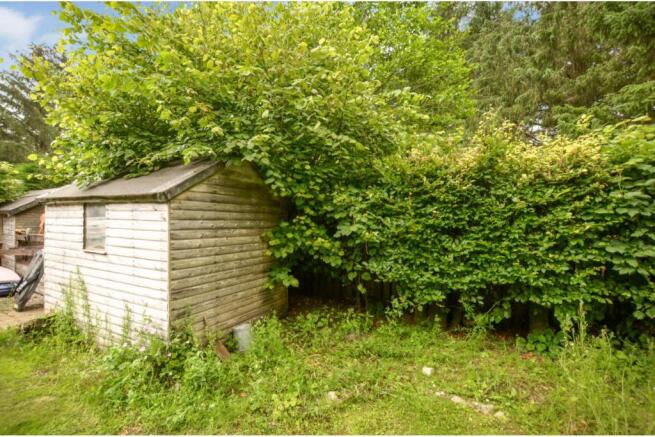 Shed