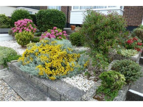 FRONT GARDEN