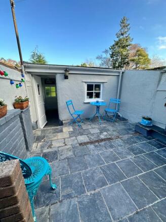 back yard.jpg