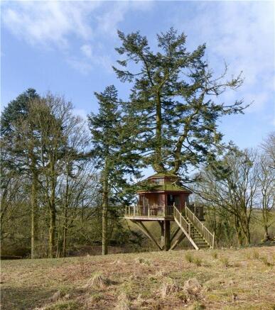 Tree House