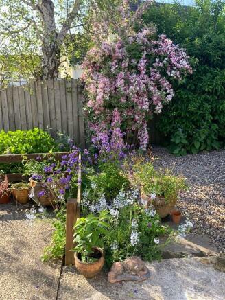 Garden Beside Patio