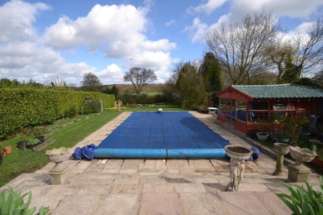 Rear Garden 3