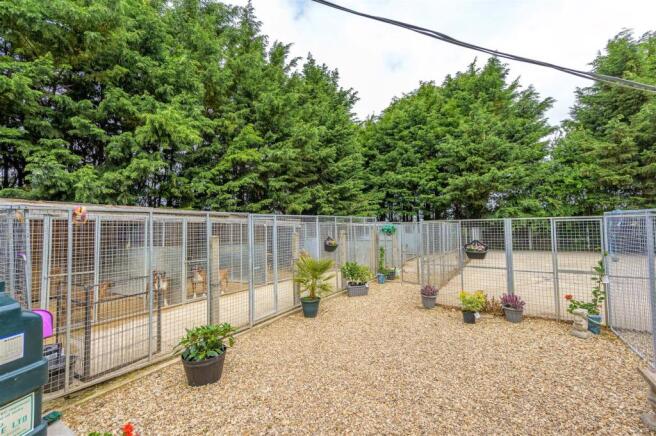 Kennels & Runs