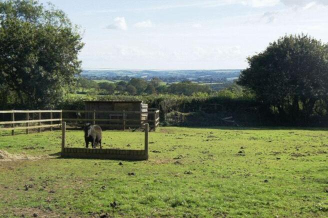 Paddock/view (2012)