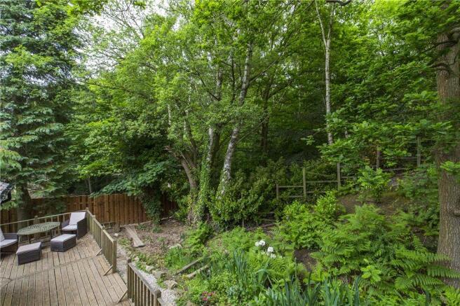 Wooded Area