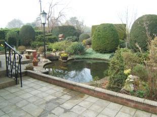 Rear Garden & Pond