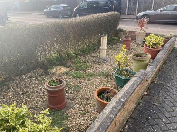 PLANTS