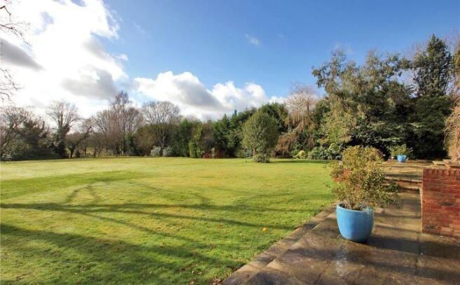 Terrace and Garden