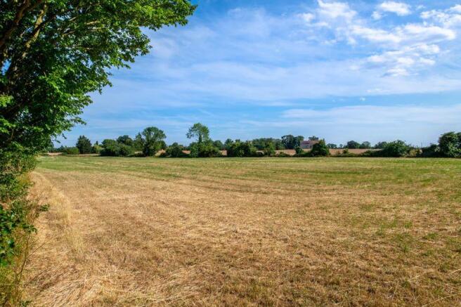 Paddock land