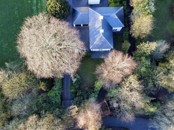 dji_fly_20251203_144208_847_1764773033692_photo_op