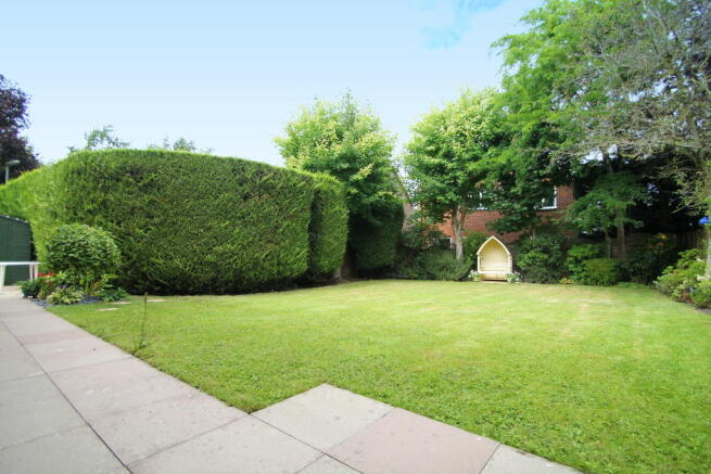Photo 13
