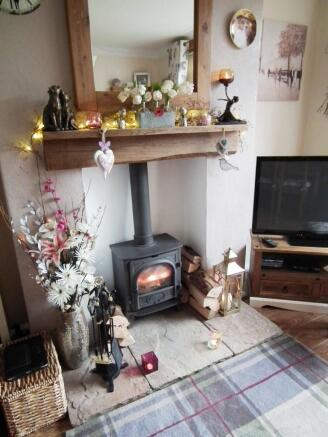 Multi-Fuel Stove
