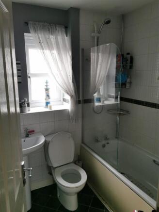 image5.jpeg