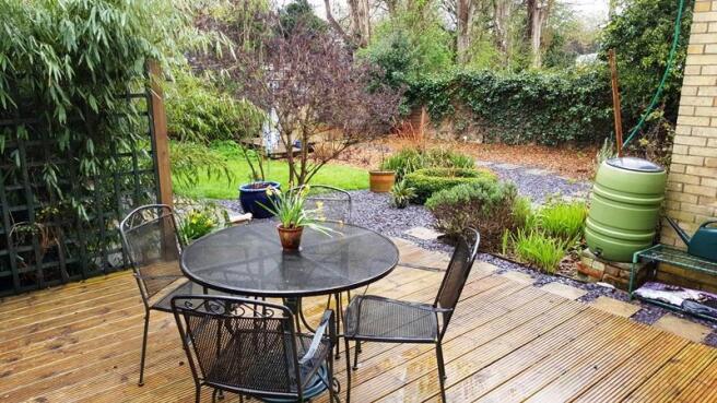 new garden 1.jpg
