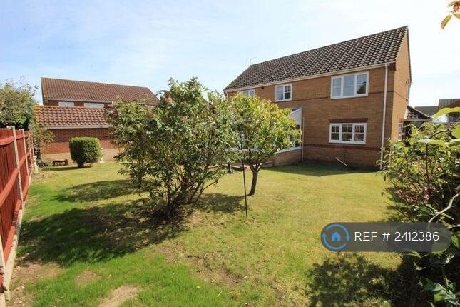 Back Garden