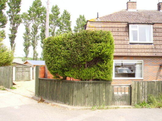 Photo 16