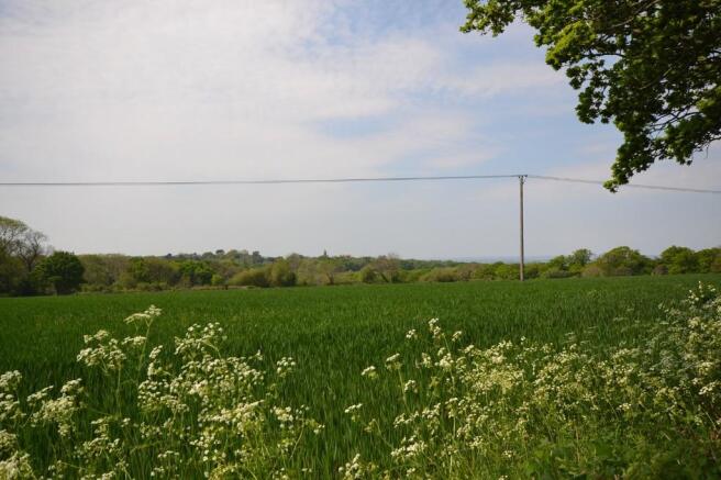 Photo 45