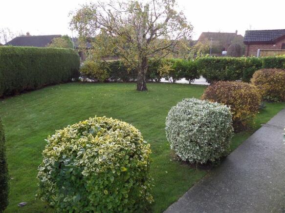 Photo 17
