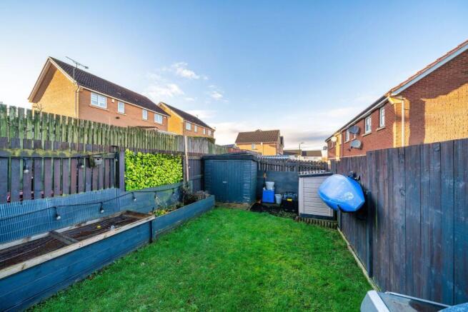 Back Garden