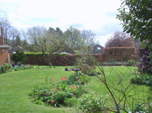 Photo 13