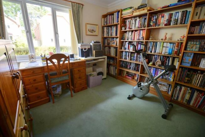 Photo 11