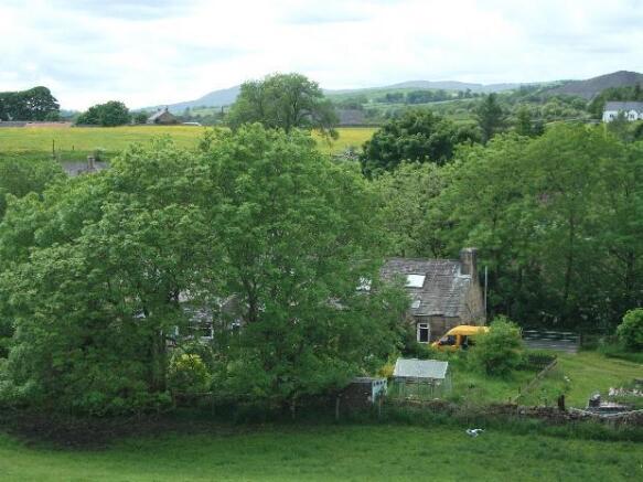 Privacy at rear of property