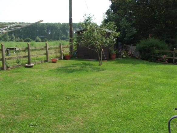 another garden shot