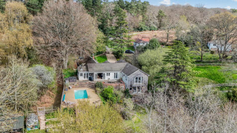 Godshill Wood, Fordingbridge, Hampshire, SP6