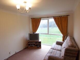 Lounge / Dining Room