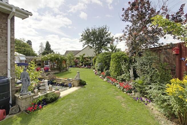 garden 1.jpg