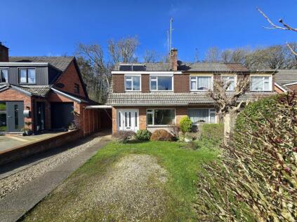 Meadow Park, Bideford