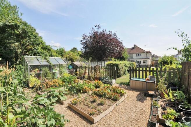 Vegetable Garden.jpg
