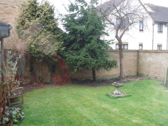 Photo 5