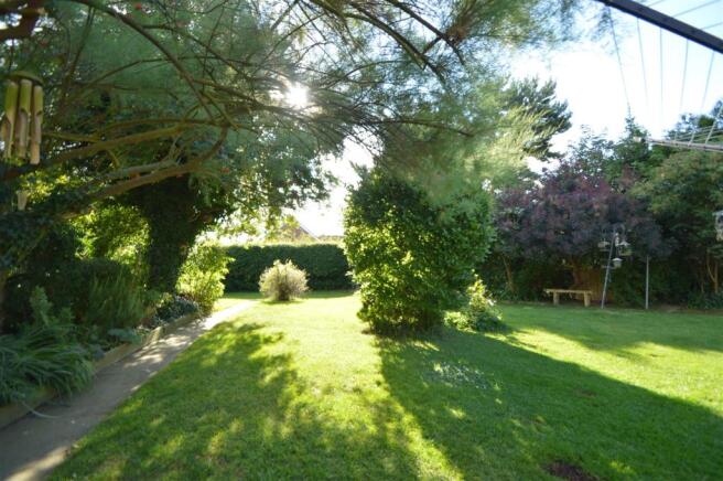 i.JPG