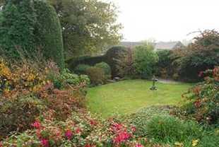 Photo 10