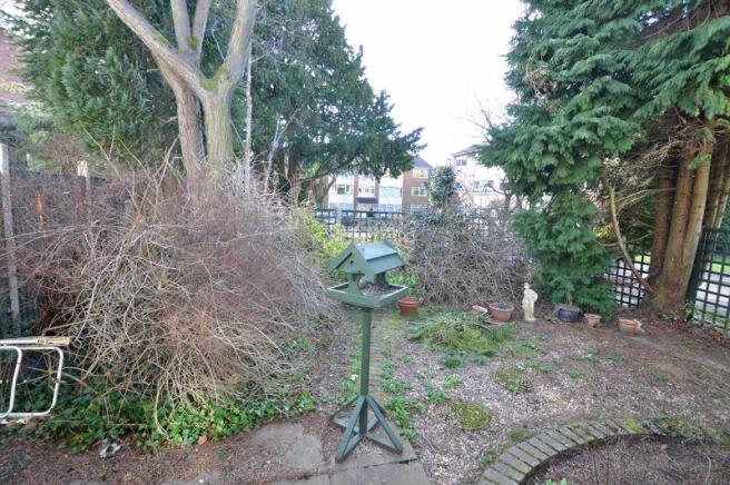 BACK GARDEN