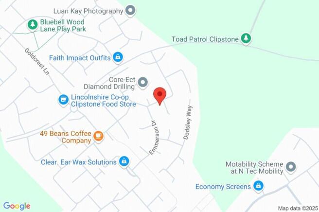 Google Maps Image