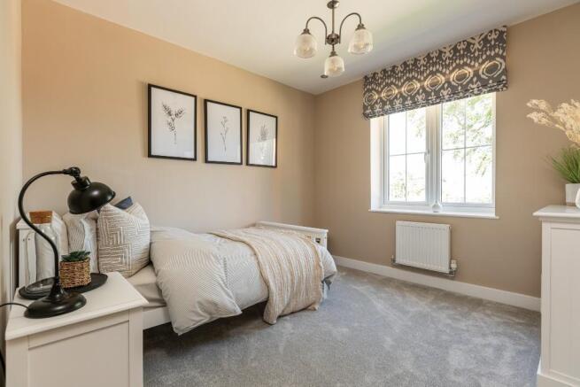 Showhome Photography