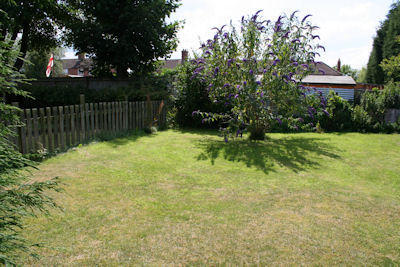 Photo 24