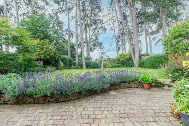 Garden-2