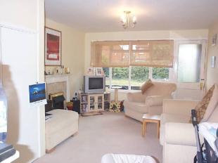 Sitting/Dining Room