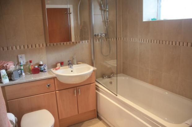 Picture No.12