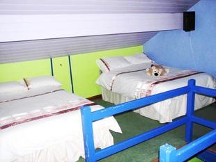 Attic Room