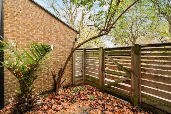 Plimsol-Close (5).JPG