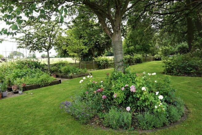 Garden 4