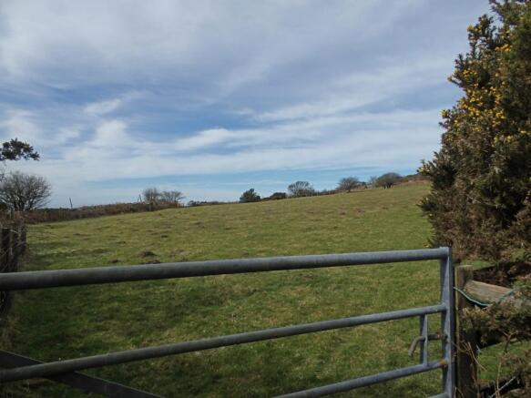 Fields