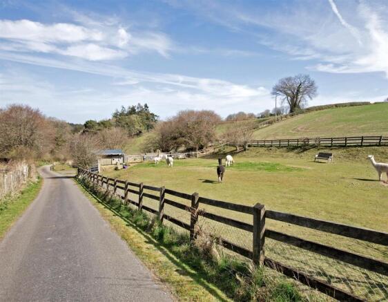 Alpaca Paddock